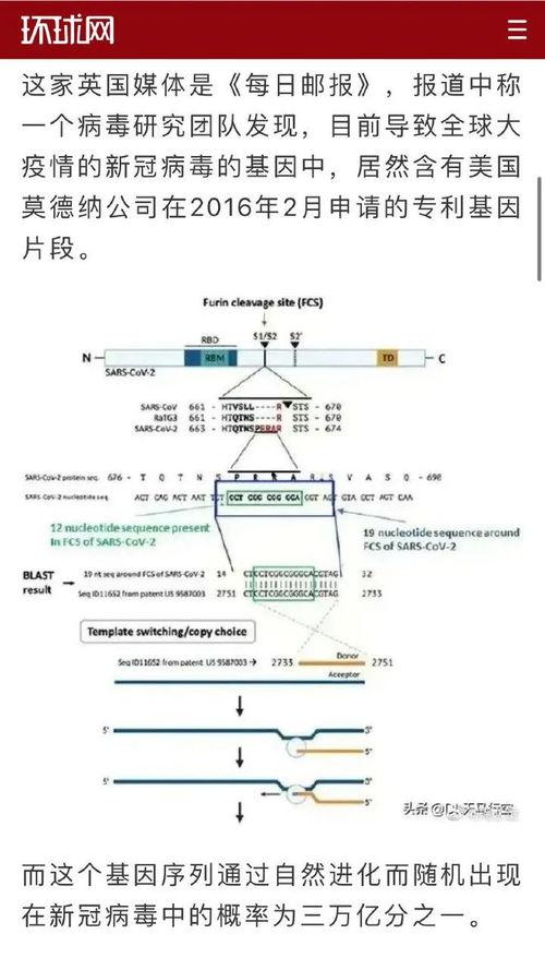美国新病毒爆料视频最新,最新爆料视频曝光惊人真相