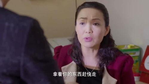 婆妈女婿在线观看,温馨家庭生活喜剧在线观看攻略  第1张